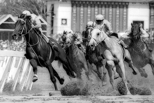 Neil Duncan: Press Photography Archive: 2 of 22