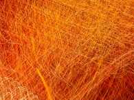 Flight of the Bumblebee