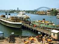 North Head, Hydrofoyle Fairlight &Karrabee 1970s