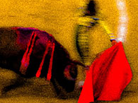 Death in the Afternoon