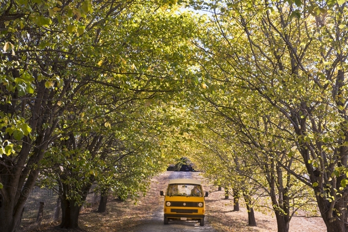 Neil Duncan: Australiana: 1 of 16