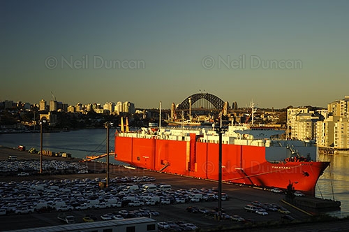 Neil Duncan: Sydney Portfolio: 3 of 13